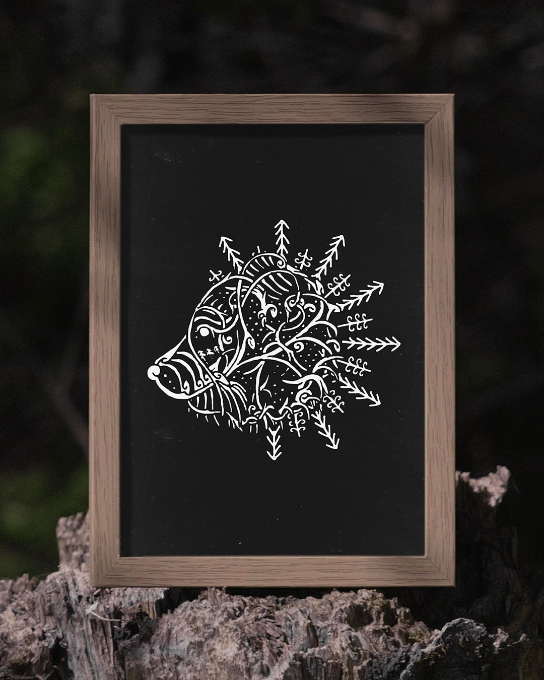 Aspect of the Bear Poster