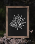 Aspect of the Bear Poster