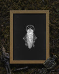 Face of Raun Poster