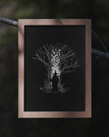 Learning the Runes Poster